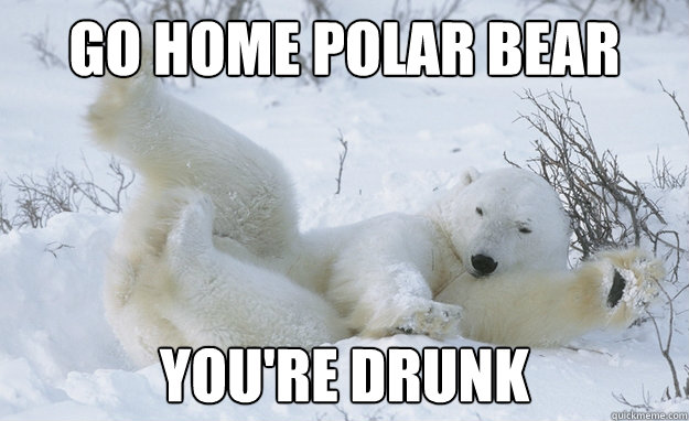 go home polar bear you're drunk  