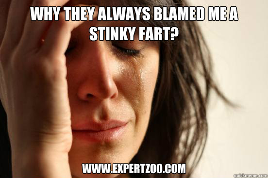 why they always blamed me a stinky fart? www.expertzoo.com  First World Problems