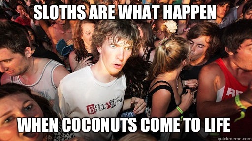 Sloths are what happen  When coconuts come to life  Sudden Clarity Clarence