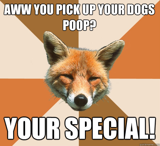Aww you pick up your dogs poop? Your special!  Condescending Fox