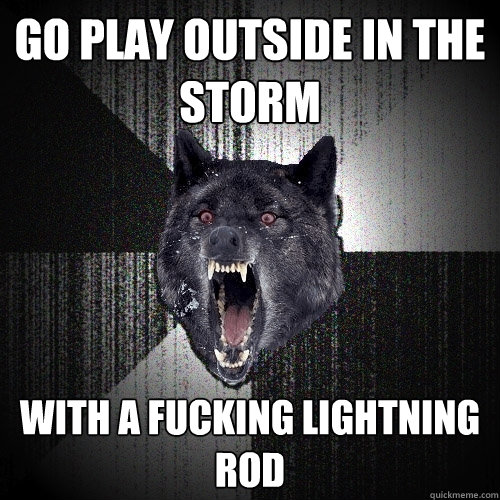 Go play outside in the storm WITH A FUCKING LIGHTNING ROD  Insanity Wolf