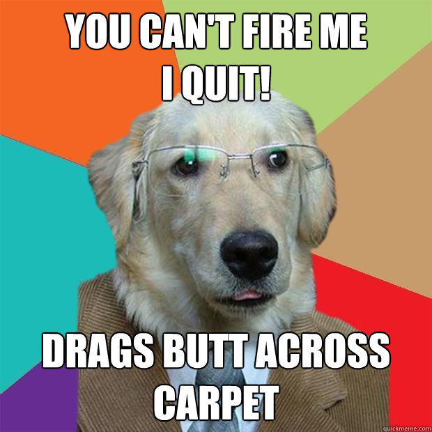 You can't fire me
I quit! drags butt across carpet - You can't fire me
I quit! drags butt across carpet  Business Dog
