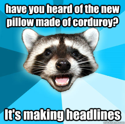 have you heard of the new pillow made of corduroy? It's making headlines  Lame Pun Coon