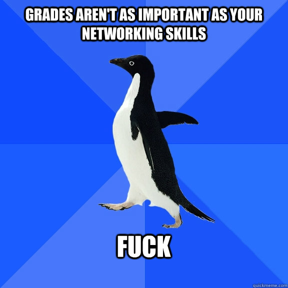 Grades aren't as important as your networking skills  Fuck  - Grades aren't as important as your networking skills  Fuck   Socially Awkward Penguin