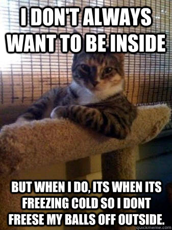 I don't always want to be inside but when I do, its when its freezing cold so i dont freese my balls off outside.  The Most Interesting Cat in the World