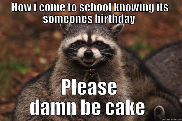 HOW I COME TO SCHOOL KNOWING ITS SOMEONES BIRTHDAY  PLEASE DAMN BE CAKE  Evil Plotting Raccoon