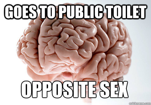 Goes to public toilet  Opposite sex  Scumbag Brain