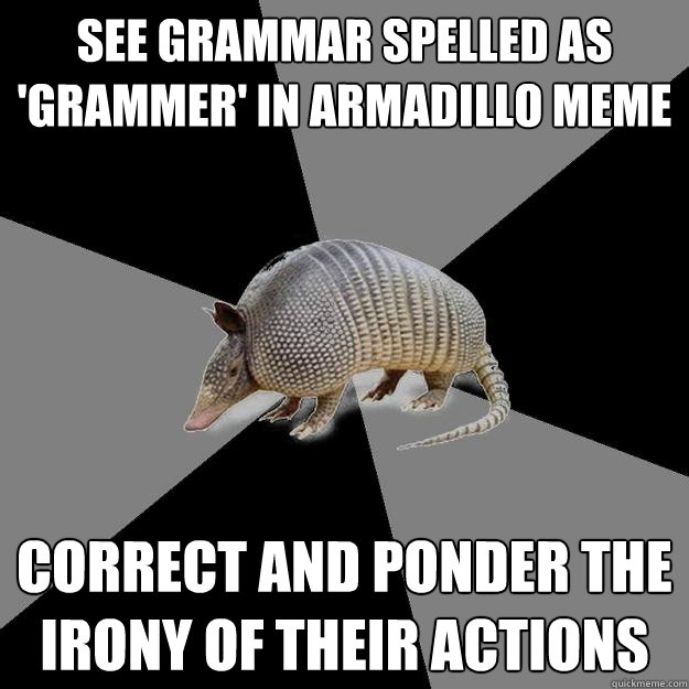 see grammar spelled as 'grammer' in armadillo meme correct and ponder the irony of their actions - see grammar spelled as 'grammer' in armadillo meme correct and ponder the irony of their actions  English Major Armadillo