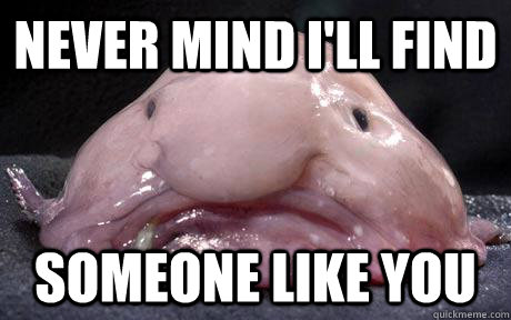 Never mind I'll find Someone like you  Manic Depression Blobfish