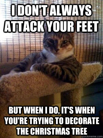 I don't always attack your feet but when I do, it's when you're trying to decorate the Christmas tree  The Most Interesting Cat in the World