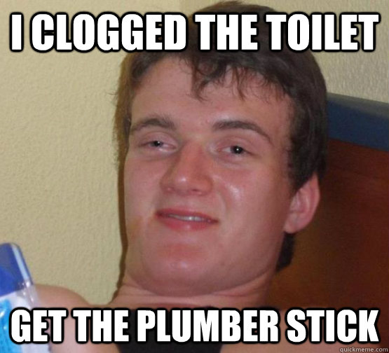 I clogged the toilet get the plumber stick  10guy