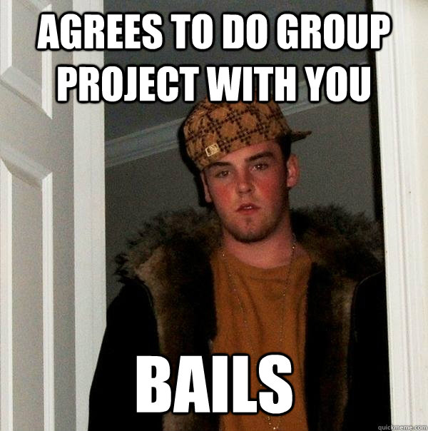 agrees to do group project with you bails  Scumbag Steve