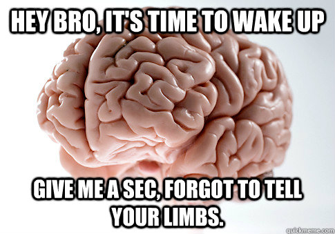 Hey bro, it's time to wake up give me a sec, forgot to tell your limbs.    Scumbag Brain