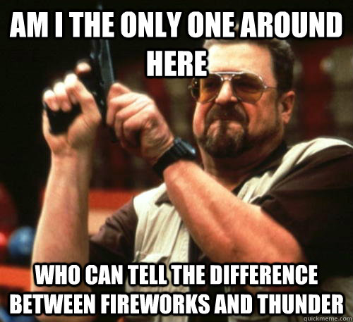 Am i the only one around here who can tell the difference between fireworks and thunder  Am I The Only One Around Here