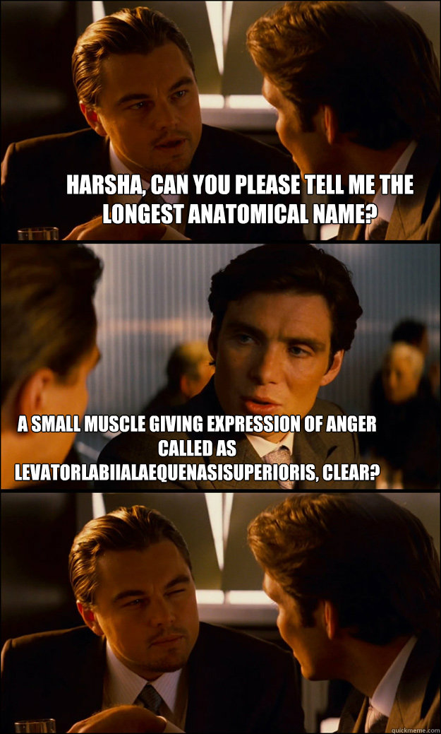 Harsha, can you please tell me the longest anatomical name? A small muscle giving expression of anger called as levatorlabiialaequenasisuperioris, clear?  Inception