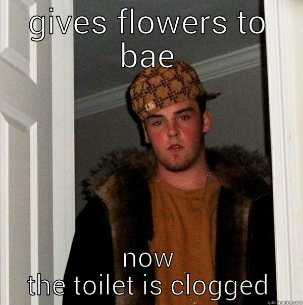 GIVES FLOWERS TO BAE NOW THE TOILET IS CLOGGED Scumbag Steve