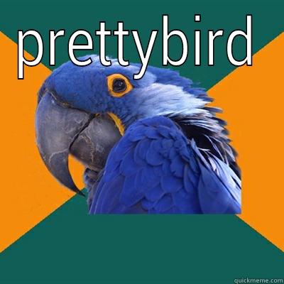 PRETTYBIRD  Paranoid Parrot