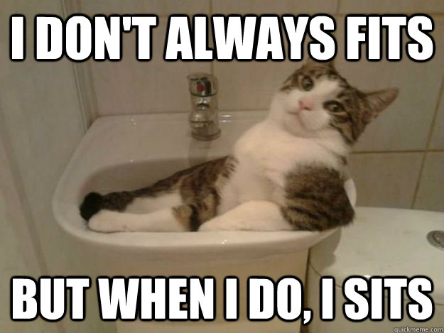 I don't always fits But when i do, i sits - I don't always fits But when i do, i sits  Most interesting cat in the world