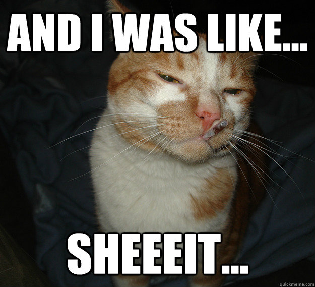 And I was like... Sheeeit...  Cool Cat Craig