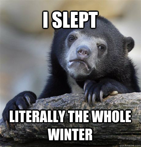 I slept  literally The whole winter - I slept  literally The whole winter  Confession Bear