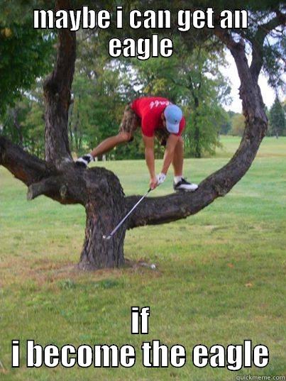 MAYBE I CAN GET AN EAGLE IF I BECOME THE EAGLE Misc