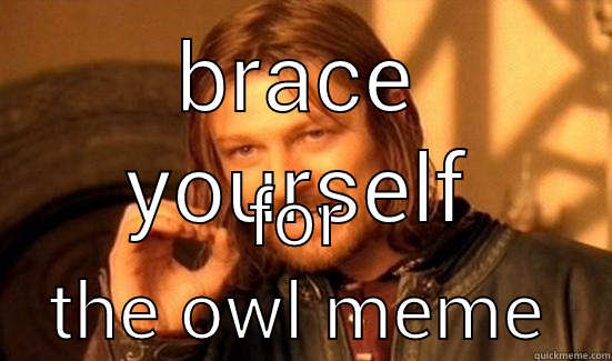 BRACE YOURSELF FOR THE OWL MEME Boromir
