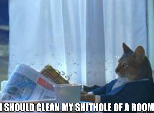i should clean my shithole of a room   I should buy a boat cat