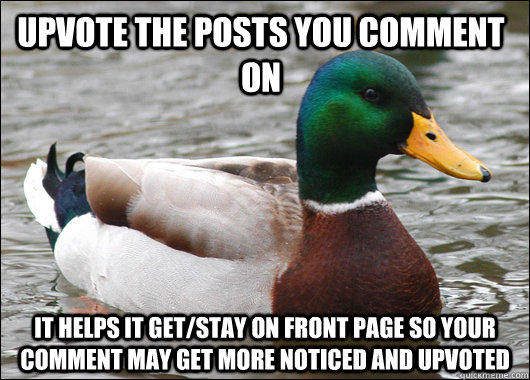 upvote the posts you comment on it helps it get/stay on front page so your comment may get more noticed and upvoted  Actual Advice Mallard