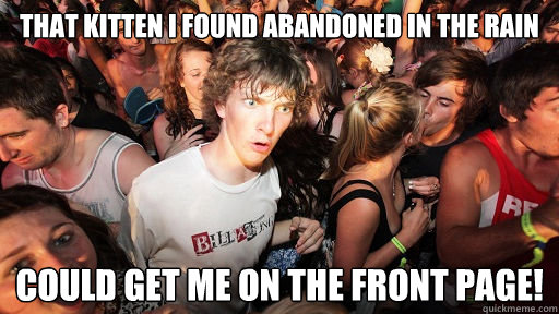 That kitten I found abandoned in the rain could get me on the front page!  Sudden Clarity Clarence
