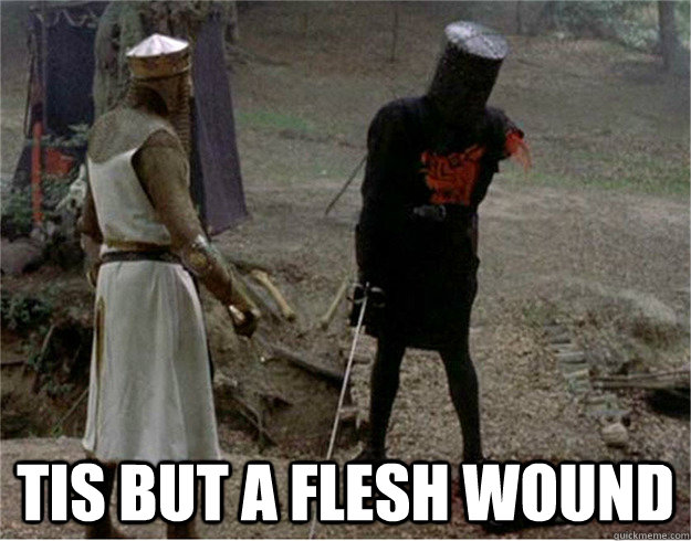 tis but a flesh wound - tis but a flesh wound  Black Knight