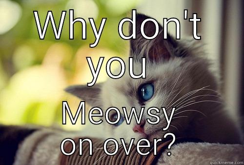 WHY DON'T YOU MEOWSY ON OVER? First World Problems Cat