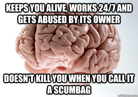 keeps you alive, works 24/7 and gets abused by its owner doesn't kill you when you call it a scumbag  Scumbag Brain