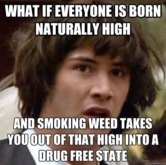 what if everyone is born naturally high and smoking weed takes you out of that high into a drug free state  conspiracy keanu