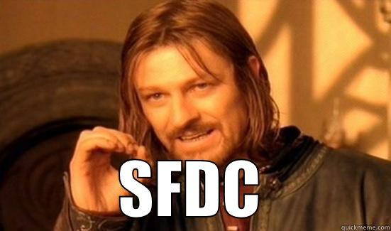 SFDC Boromir