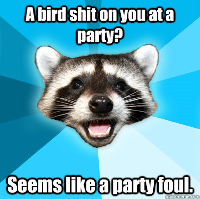 A bird shit on you at a party? Seems like a party foul.  Lame Pun Coon
