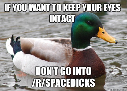 If you want to keep your eyes intact Don't go into /r/spacedicks  Actual Advice Mallard