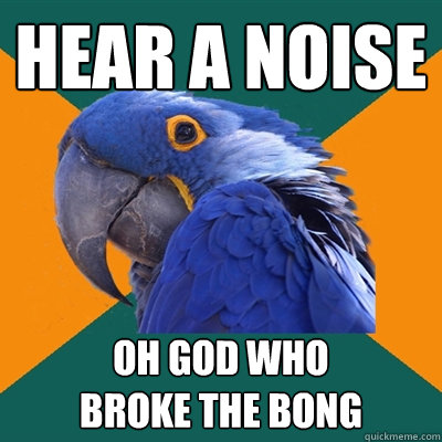 hear a noise oh god who 
broke the bong  Paranoid Parrot
