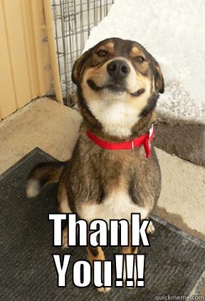  THANK YOU!!! Good Dog Greg