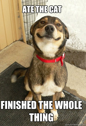Ate the cat finished the whole thing  Good Dog Greg