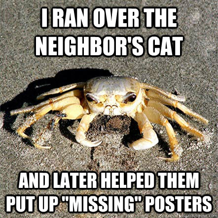 I ran over the neighbor's cat and later helped them put up 