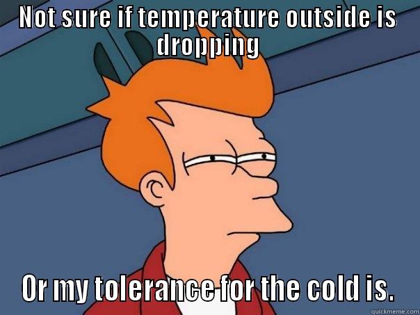 NOT SURE IF TEMPERATURE OUTSIDE IS DROPPING OR MY TOLERANCE FOR THE COLD IS. Futurama Fry