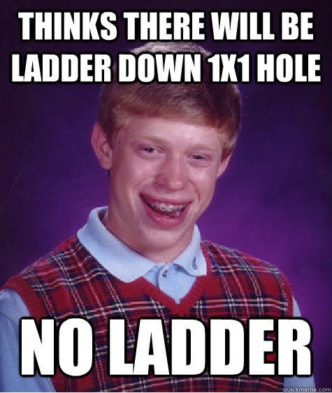 Thinks there will be ladder down 1x1 hole No ladder - Thinks there will be ladder down 1x1 hole No ladder  Bad Luck Brian