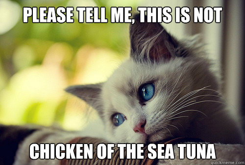 Please tell me, this is not chicken of the sea tuna  First World Problems Cat