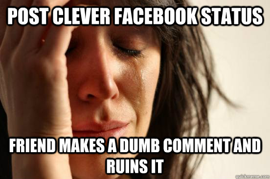 Post clever facebook status Friend makes a dumb comment and ruins it  First World Problems