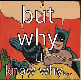BUT WHY U KNOW WHY... Slappin Batman