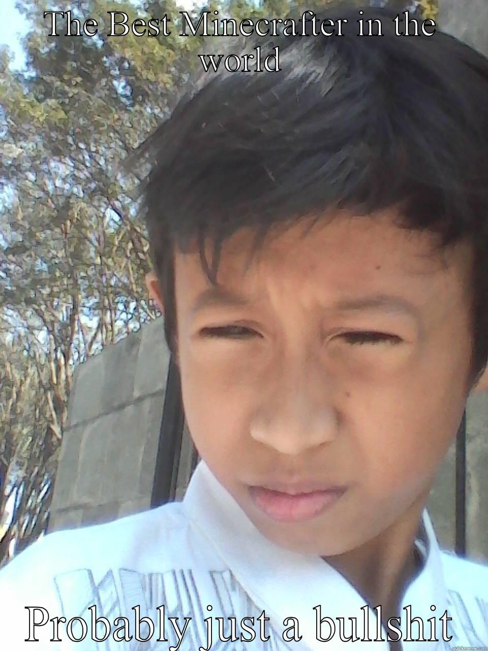 THE BEST MINECRAFTER IN THE WORLD PROBABLY JUST A BULLSHIT Success Kid