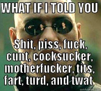 WHAT IF I TOLD YOU   SHIT, PISS, FUCK, CUNT, COCKSUCKER, MOTHERFUCKER, TITS, FART, TURD, AND TWAT  Matrix Morpheus