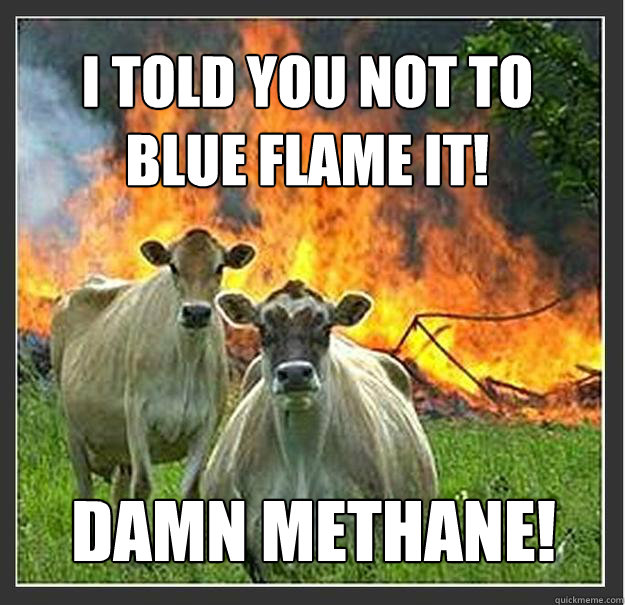 i told you not to
blue flame it!  damn methane! - i told you not to
blue flame it!  damn methane!  Evil cows