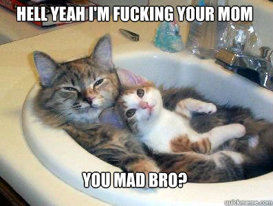 hell yeah I'm fucking your mom You mad bro? - hell yeah I'm fucking your mom You mad bro?  Pimp Cat
