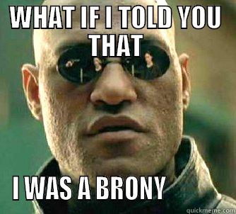 WHAT IF I TOLD YOU THAT I WAS A BRONY             Matrix Morpheus